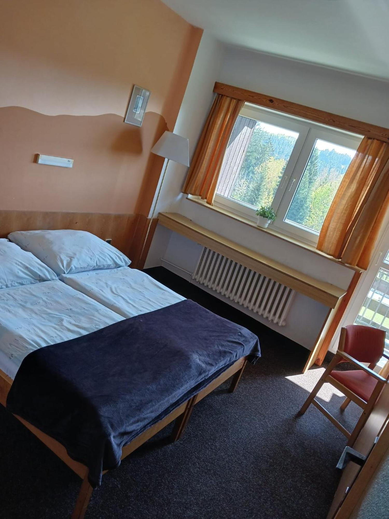Hotel Albert - Retro Paseky nad Jizerou Eksteriør bilde