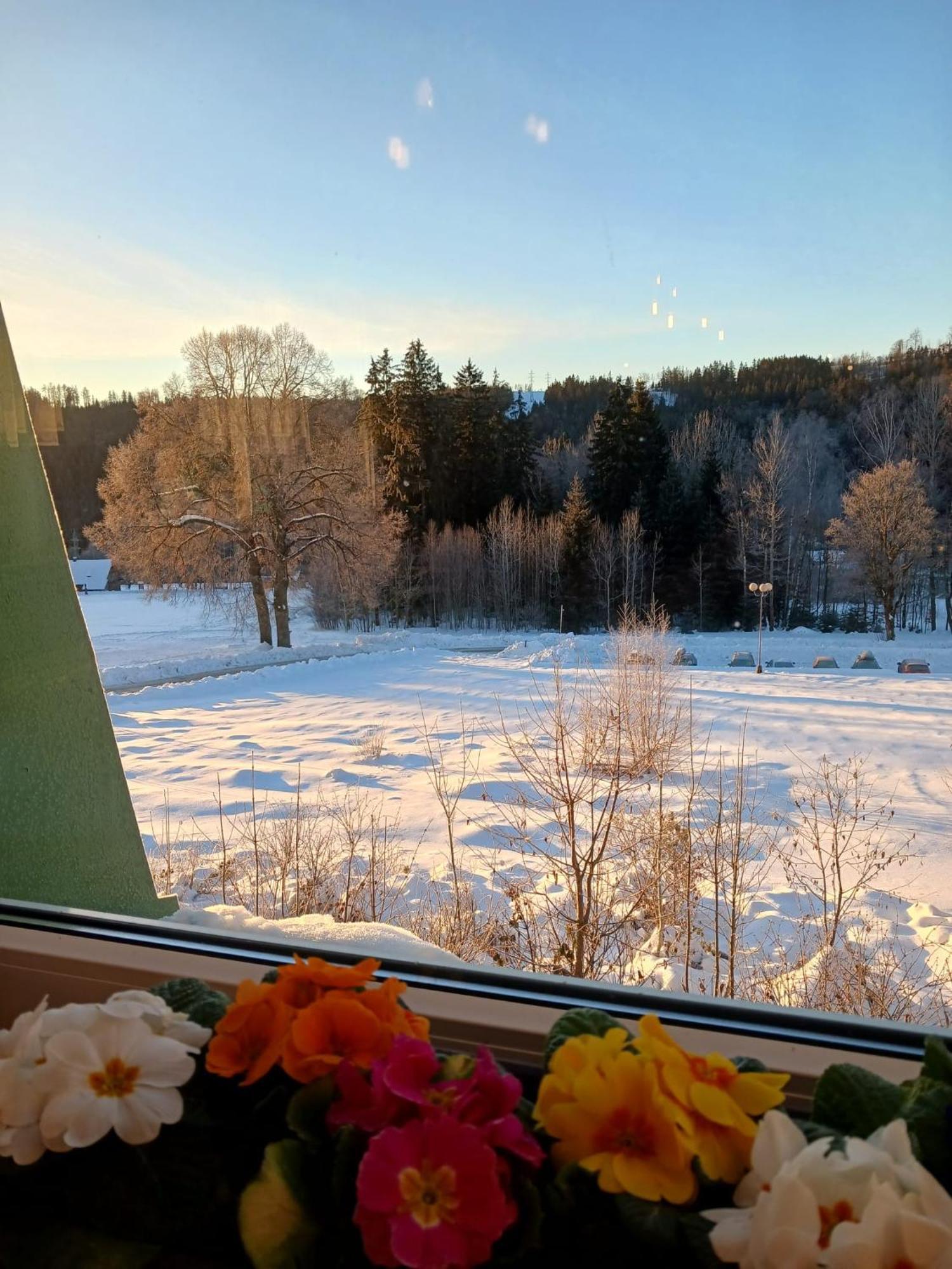 Hotel Albert - Retro Paseky nad Jizerou Eksteriør bilde